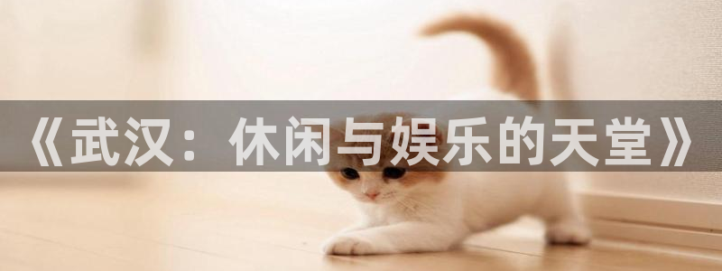 百达娱乐：《武汉：休闲与娱乐的天堂》