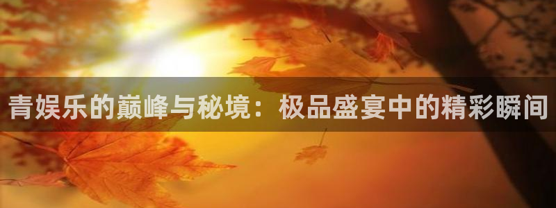 百达娱乐：青娱乐的巅峰与秘境：极品盛宴中的精彩瞬间