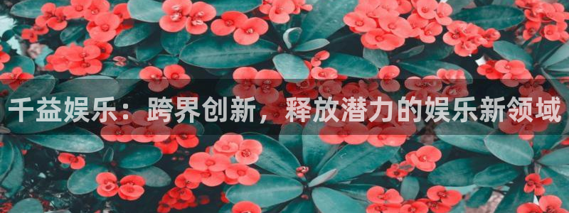 百达娱乐：千益娱乐：跨界创新，释放潜力的娱乐新领域